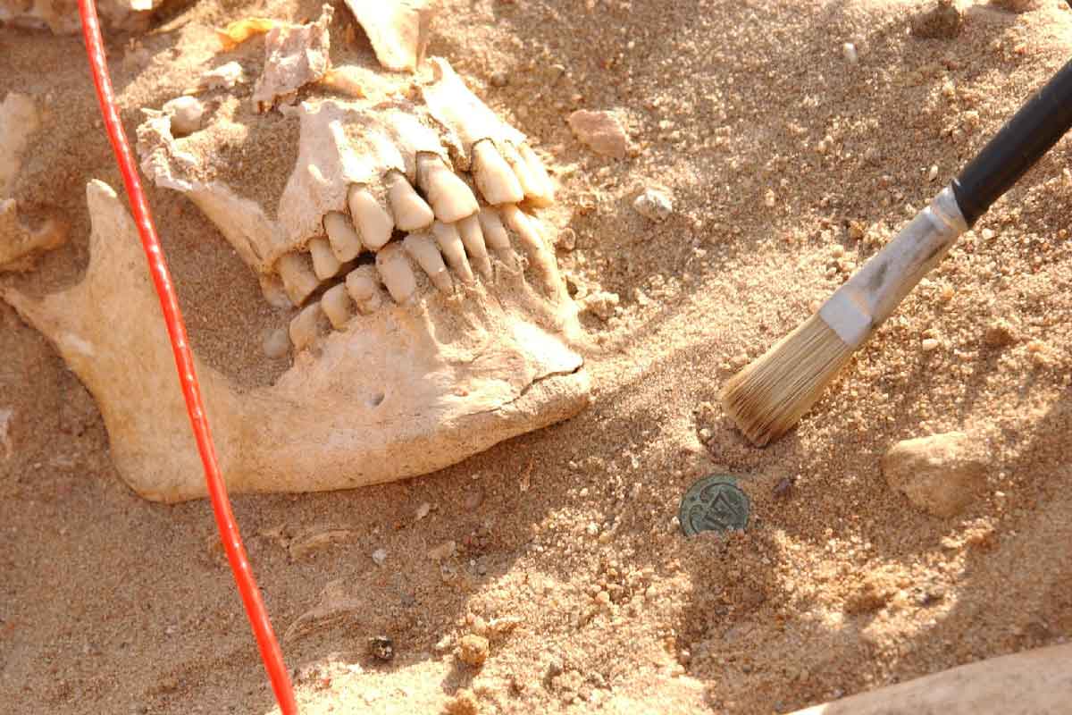 https://www.gavi.org/sites/default/files/vaccineswork/2025/Body/skull-soldier-napoleon-army_msignoli-aix-marseille-uni.jpg